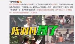 胖虎人力爆料视频大全最新,揭秘职场真相与内幕